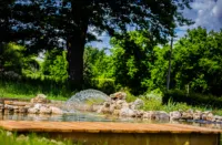 Fontaine d'eau dans un jardin verdoyant.